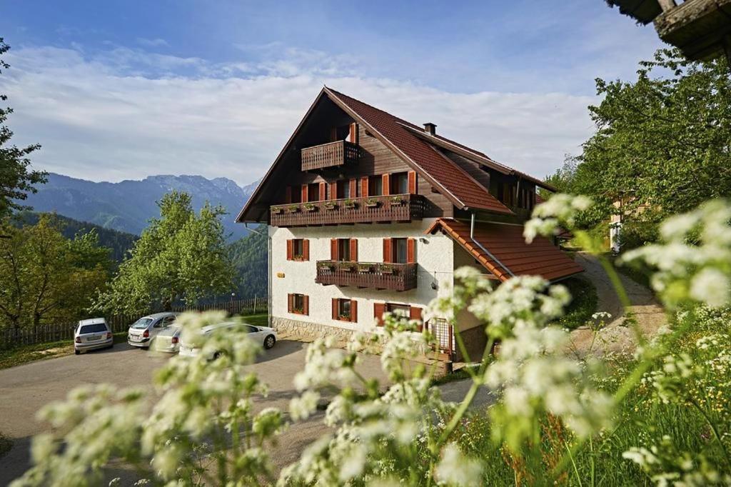 Farm Stay "Alpine Dreams" Solčava Exterior foto