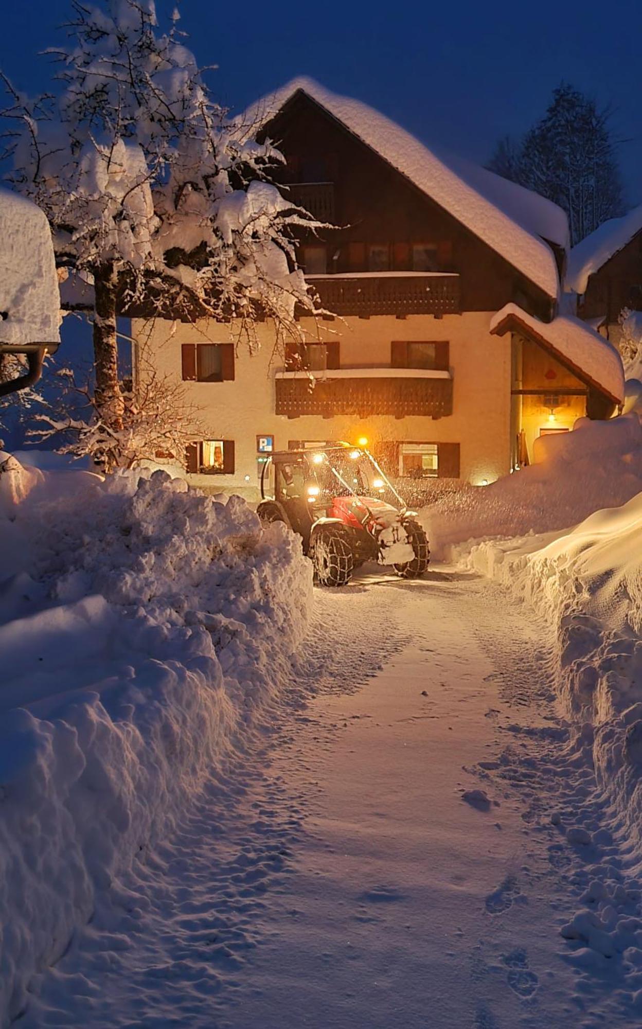 Farm Stay "Alpine Dreams" Solčava Exterior foto