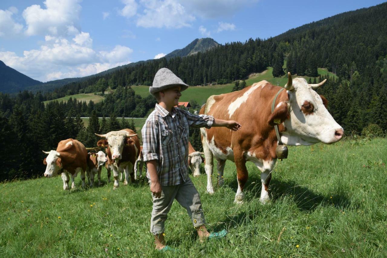 Farm Stay "Alpine Dreams" Solčava Exterior foto