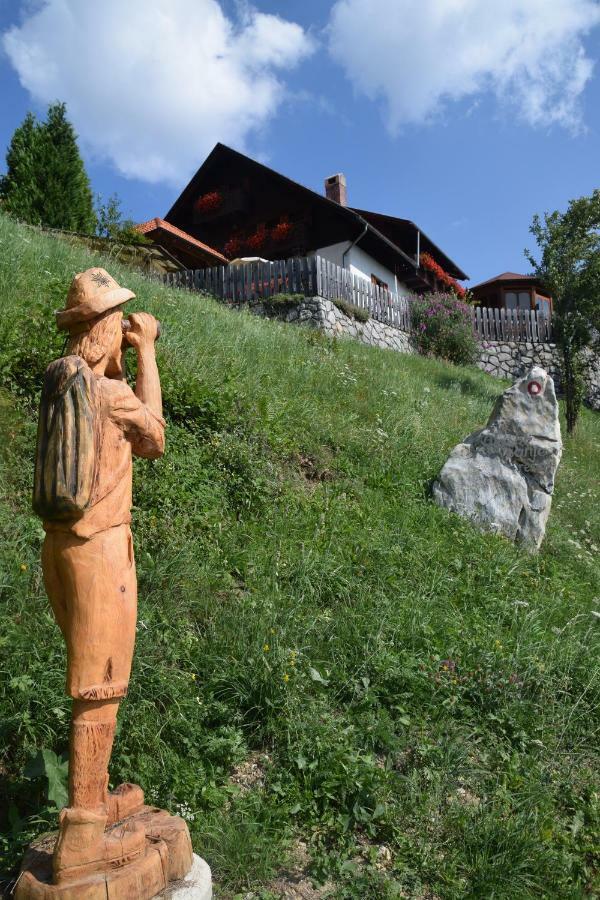 Farm Stay "Alpine Dreams" Solčava Exterior foto